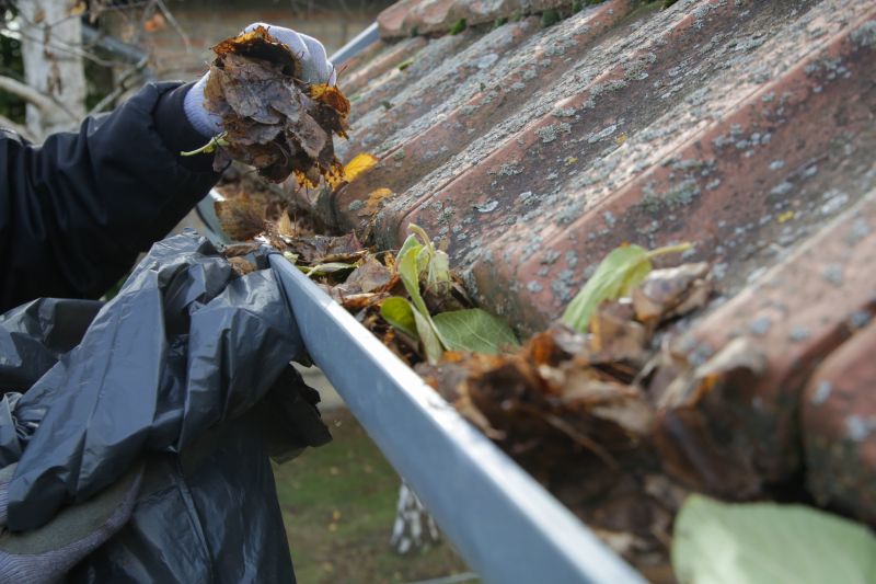 Experienced providers will also offer maintenance and cleaning services to keep your gutter covers in optimal condition.